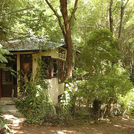 Momchailai Forest Retreat Kanchanaburi Zewnętrze zdjęcie