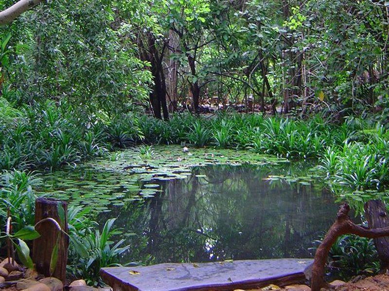 Momchailai Forest Retreat Kanchanaburi Zewnętrze zdjęcie